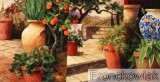 Click to View Turo Tuscano Orange